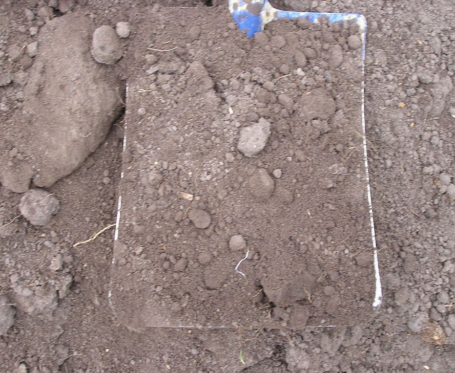 Tanami: Budget Soil